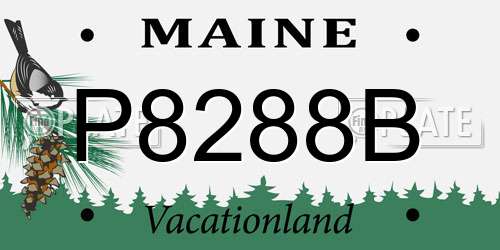 P8288B Maine License Plate