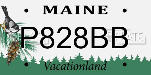 P828BB Maine License Plate