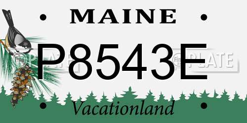 P8543E Maine License Plate