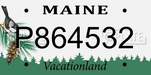 P864532 Maine License Plate