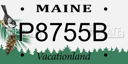 P8755B Maine License Plate