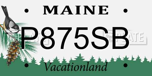 P875SB Maine License Plate