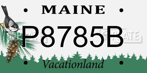 P8785B Maine License Plate