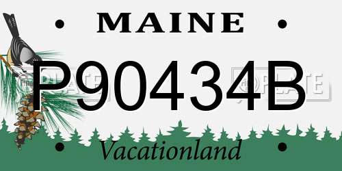 P90434B Maine License Plate