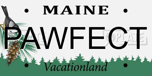 PAWFECT Maine License Plate