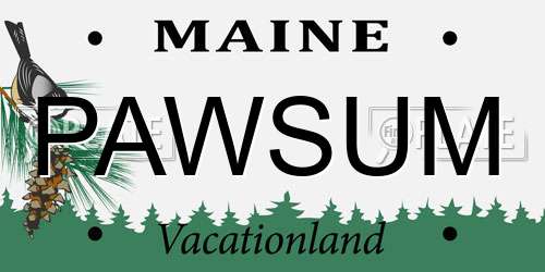 PAWSUM Maine License Plate