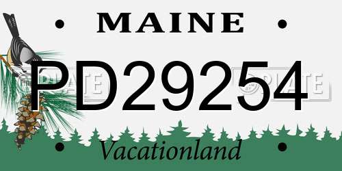 PD29254 Maine License Plate