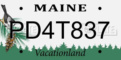 PD4T837 Maine License Plate
