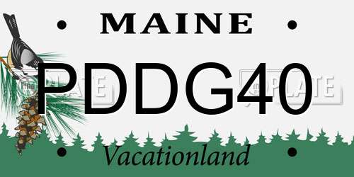 PDDG40 Maine License Plate