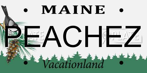 PEACHEZ Maine License Plate