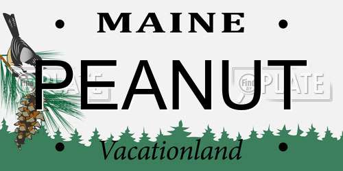 PEANUT Maine License Plate