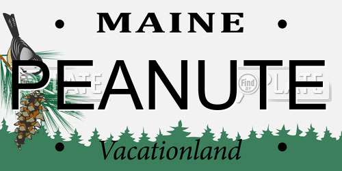 PEANUTE Maine License Plate