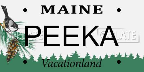 PEEKA Maine License Plate