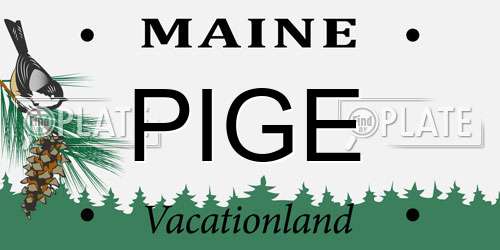 PIGE Maine License Plate