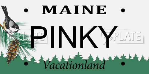 PINKY Maine License Plate