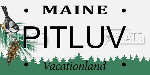 PITLUV Maine License Plate
