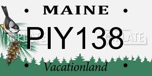 PIY138 Maine License Plate