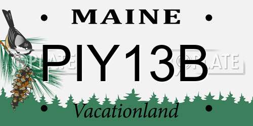 PIY13B Maine License Plate
