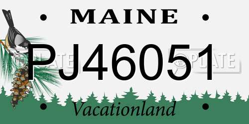 PJ46051 Maine License Plate