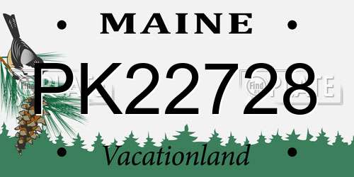 PK22728 Maine License Plate