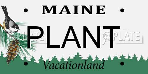 PLANT Maine License Plate