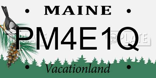 PM4E1Q Maine License Plate