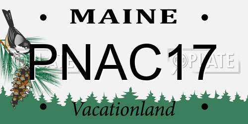 PNAC17 Maine License Plate