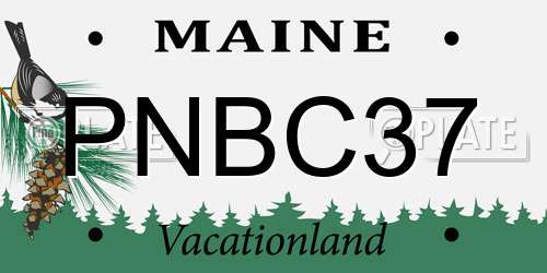 PNBC37 Maine License Plate