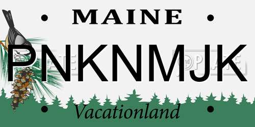 PNKNMJK Maine License Plate