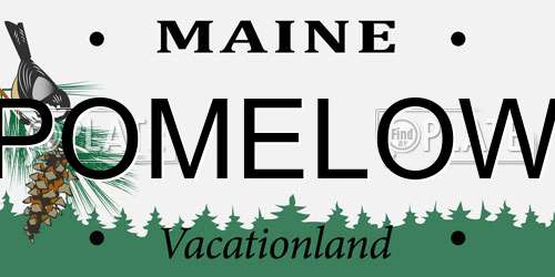POMELOW Maine License Plate