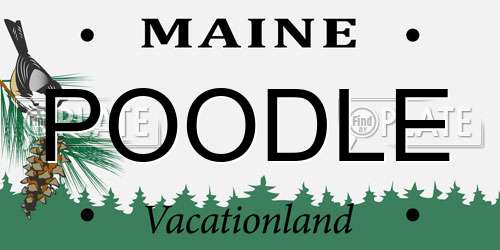 POODLE Maine License Plate