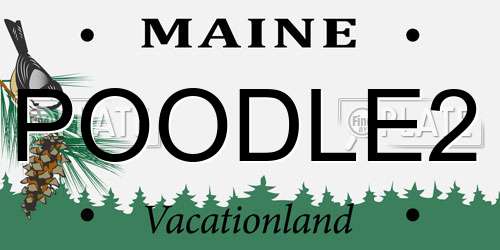 POODLE2 Maine License Plate