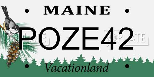 POZE42 Maine License Plate