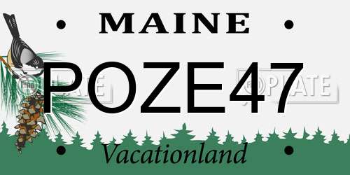 POZE47 Maine License Plate