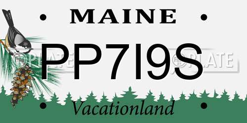 PP7I9S Maine License Plate