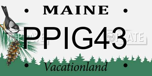 PPIG43 Maine License Plate