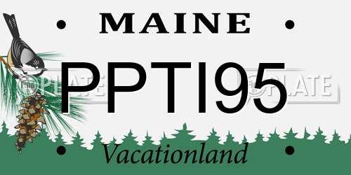 PPTI95 Maine License Plate
