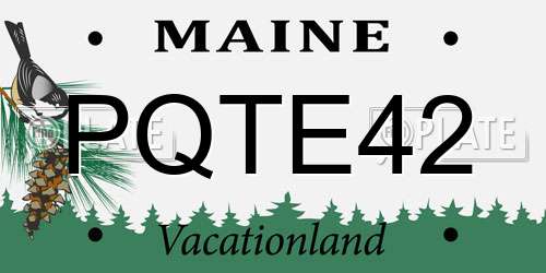PQTE42 Maine License Plate
