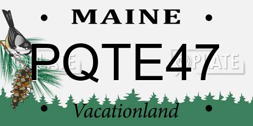 PQTE47 Maine License Plate