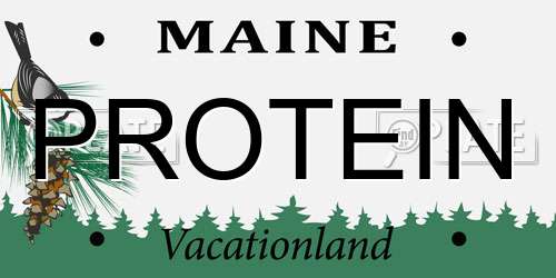 PROTEIN Maine License Plate