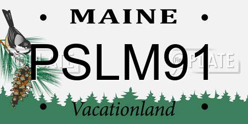 PSLM91 Maine License Plate