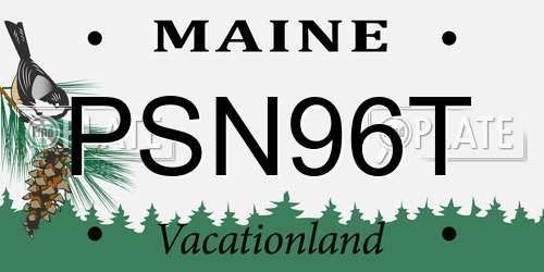 PSN96T Maine License Plate
