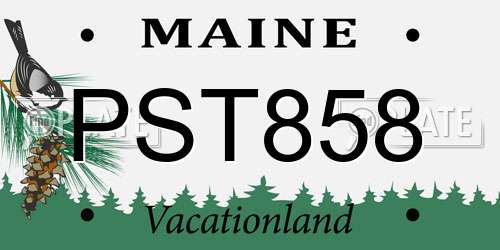PST858 Maine License Plate
