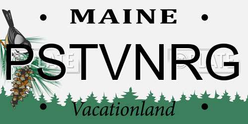 PSTVNRG Maine License Plate