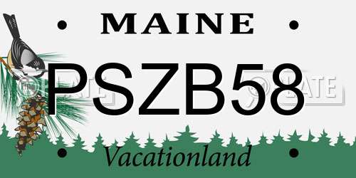 PSZB58 Maine License Plate