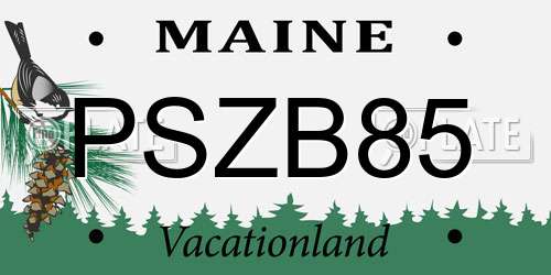 PSZB85 Maine License Plate