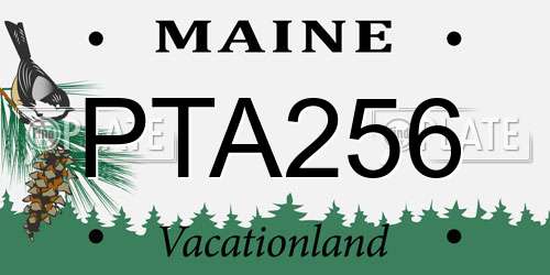PTA256 Maine License Plate