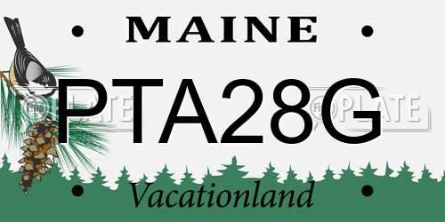 PTA28G Maine License Plate