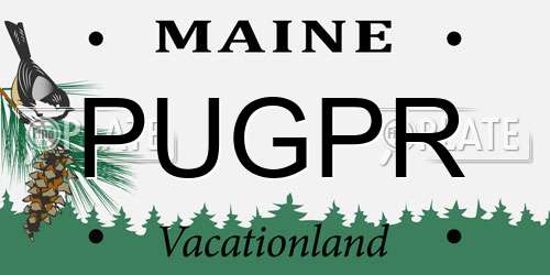 PUGPR Maine License Plate
