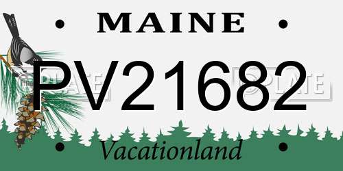 PV21682 Maine License Plate